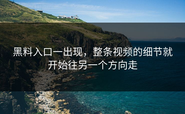 黑料入口一出现，整条视频的细节就开始往另一个方向走  第1张