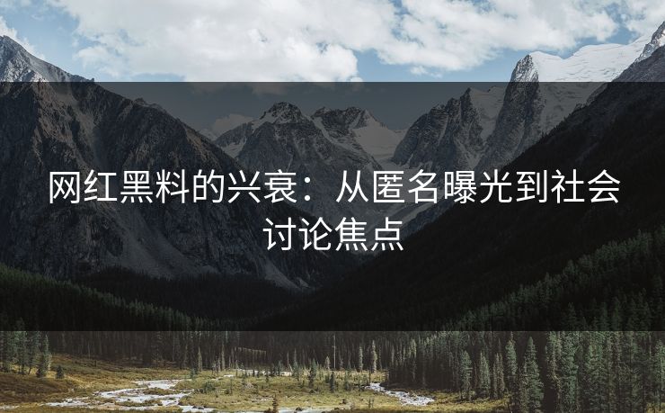 网红黑料的兴衰：从匿名曝光到社会讨论焦点
