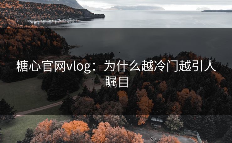 糖心官网vlog：为什么越冷门越引人瞩目