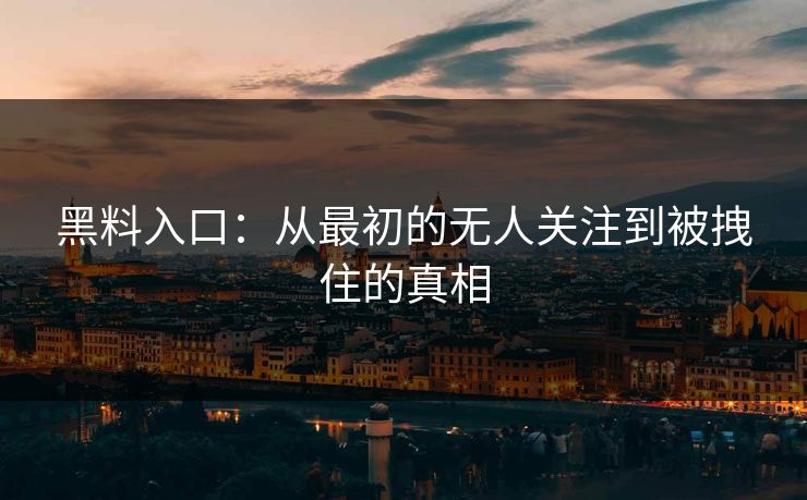 黑料入口：从最初的无人关注到被拽住的真相  第1张