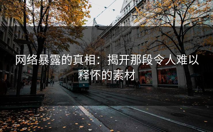 网络暴露的真相：揭开那段令人难以释怀的素材  第1张