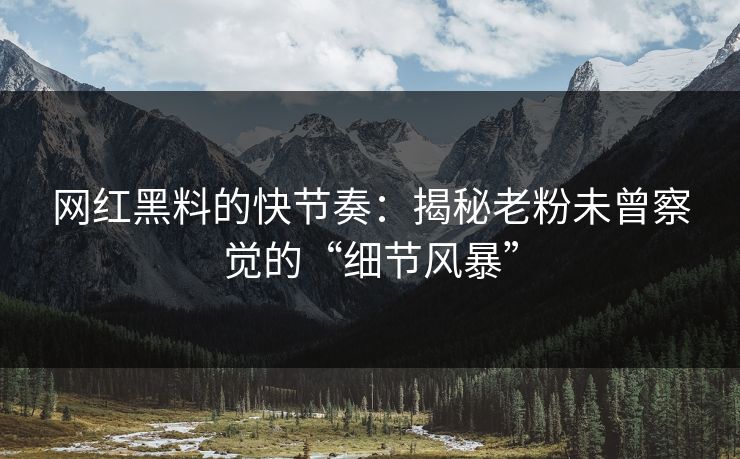 网红黑料的快节奏：揭秘老粉未曾察觉的“细节风暴”