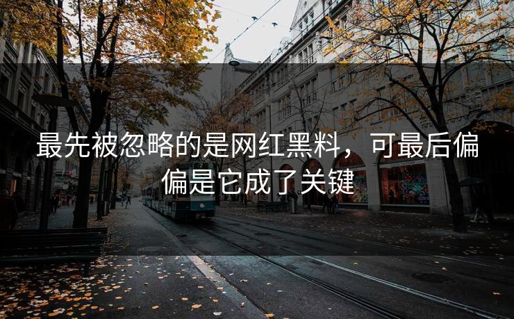 最先被忽略的是网红黑料,可最后偏偏是它成了关键 第1张 最先被忽略的是网红黑料,可最后偏偏是它成了关键 第1张