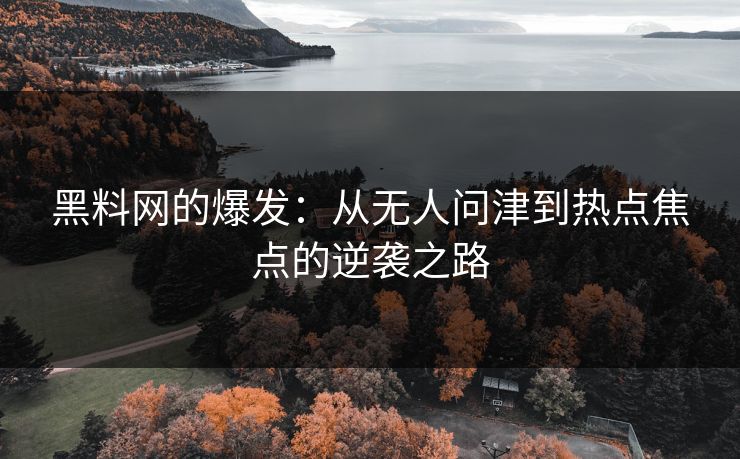 黑料网的爆发:从无人问津到热点焦点的逆袭之路 第1张 黑料网的爆发:从无人问津到热点焦点的逆袭之路 第1张