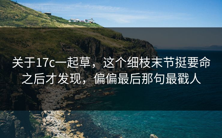 关于17c一起草,这个细枝末节挺要命之后才发现,偏偏最后那句最戳人 第1张 关于17c一起草,这个细枝末节挺要命之后才发现,偏偏最后那句最戳人 第1张