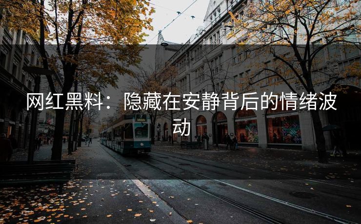 网红黑料：隐藏在安静背后的情绪波动